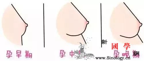 怀孕初期的十大症状！你知道吗？_孕妇-症状-怀孕-女性-