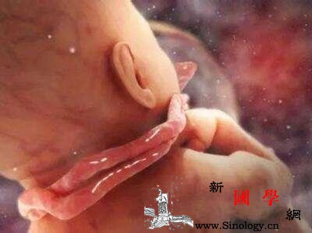 脐带绕颈的危害这些后果孕妇要了解_顺产-胎动-脐带-胎儿-