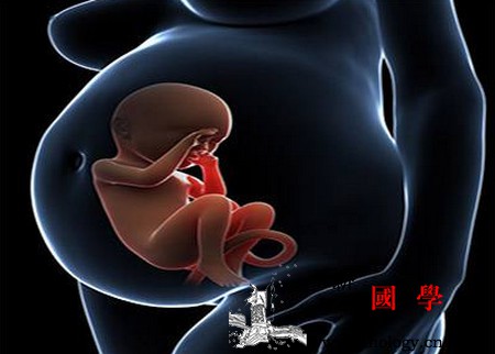 什么情况下会造成胚胎停育？如何做才能拥有健康_胚胎-情况下-环境-媳妇儿-