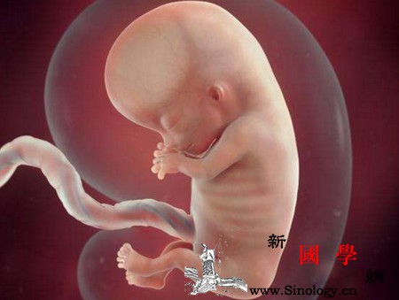 产检尴尬那些事儿产检时该如何提前做好准备减_月经-尴尬-医生-引产-