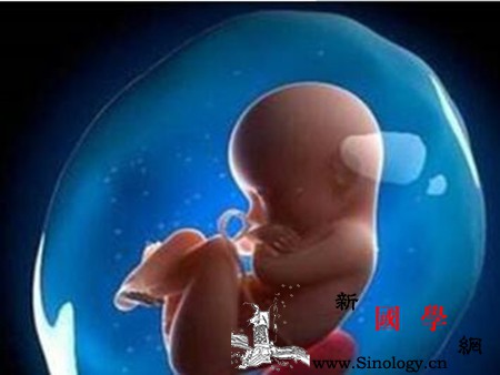 胎儿在羊水里为什么不呛胎儿发育常见疑惑解答_羊水-肺部-胎儿-肢体-