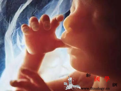 这个月胎儿最易缺氧孕妈要注意！孕妇如何预防_宫内-妊娠-缺氧-胎儿-