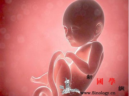孕妇羊水过多对胎儿有什么影响_羊水-脐带-胎儿-孕妇-
