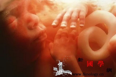 关于胎儿智力发育孕期这个月很关键！_胚胎-胎儿-宝宝-神经元-