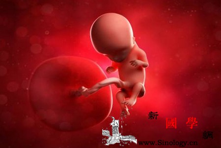 胚胎停育曾是多少人心中的隐痛！_染色体-胚胎-妊娠-流产-