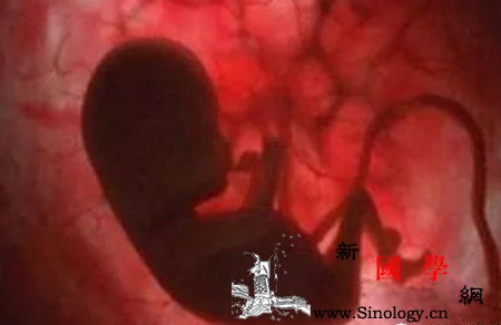 怀孕了孕妇听演唱会声音会对胎儿有影响吗？_胎儿-噪音-腹壁-演唱会-