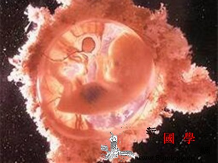 孕妇支原体感染对胎儿的影响_胎膜-涂片-支原体-宫内-