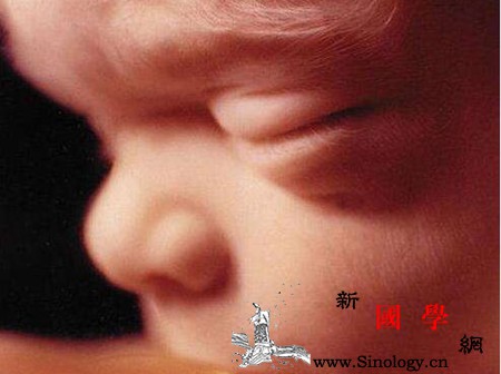 孕妇伤心哭泣对胎儿有什么影响这些影响你都知_孕期-胎儿-孕妇-哭泣-
