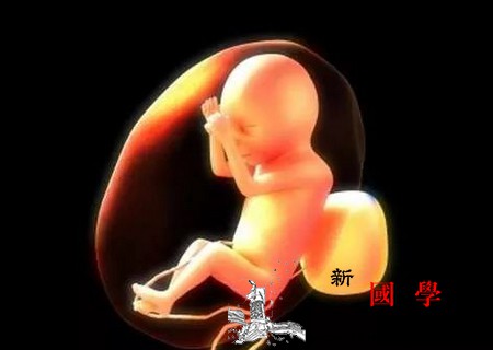 胎儿偏小几周是怎么回事？孕期胎儿偏小几周正常_孕期-胎儿-婆婆-几周-