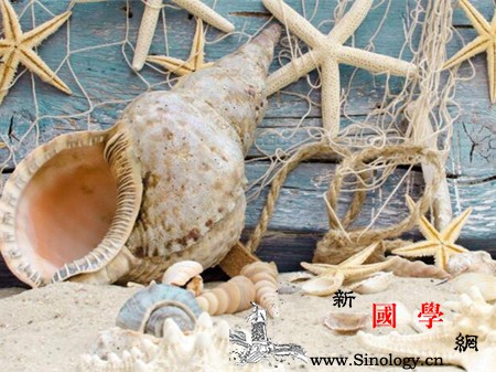 孕妇梦见贝壳是什么意思_会有-将会-贝壳-预示-