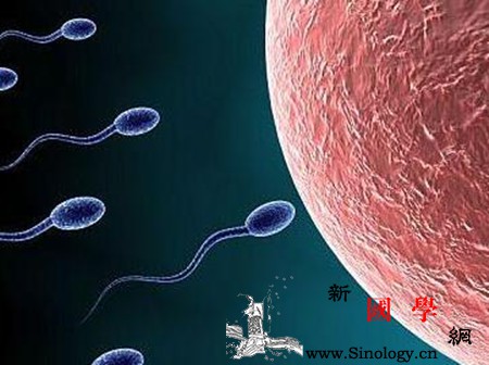 精子质量不好会导致胎停吗两者有什么关系_胎动-孕期-精子-准妈妈-