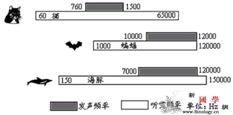 怀孕后B超检查要做多少次？三维、四维彩超有必_胎儿-超声波-四维-检查-