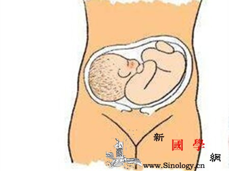 胎儿横位是什么意思_胎位-骨盆-胎盘-剖腹产-