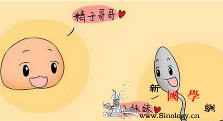 怀孕后白带如果出现这些现象请一定要上心！_黏液-雌激素-白带-外阴-