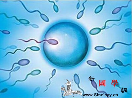 胎儿畸形与精子有关吗_死胎-染色体-孕期-精子-