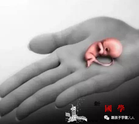孕期这个异常原因有3种！每种都很要命！_葡萄胎-阴道-出血-宫外孕-