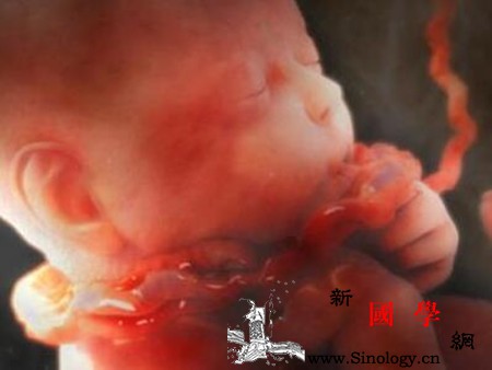 假性宫缩会导致胎儿缺氧吗_脐带-胎盘-母体-缺氧-