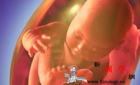 怀孕后胎儿有这6种表现说明宝宝是个“调皮鬼_调皮鬼-胎儿-调皮-宝宝-