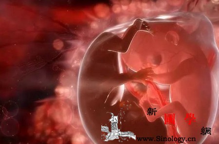 孕期孕妈注意这3点基本可以防止胎儿脐带绕颈_脐带-胎儿-肚子里-兴奋-