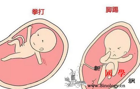 胎儿在肚里干的“坏事”你猜都猜不到！_胎动-吸吮-个月-宝贝-