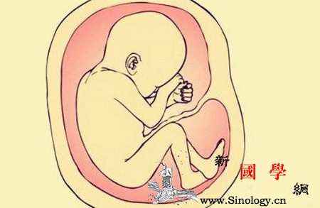 怀孕后白带出现哪种情况需警惕？_白带-宫颈-阴道-分泌-