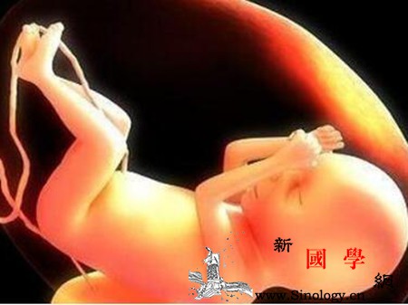 胎儿脐带短是什么原因有什么影响_脐带-分娩-胎儿-子宫-