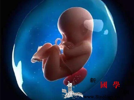 胎儿大脑什么时候发育揭秘胎儿大脑发育全过程_前脑-什么时候-胎教-胎儿-