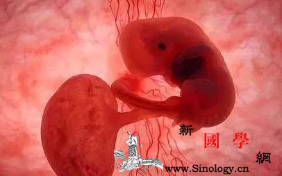 胎宝宝在肚子里能看见光吗？_羊水-视网膜-黑乎乎-胎儿-