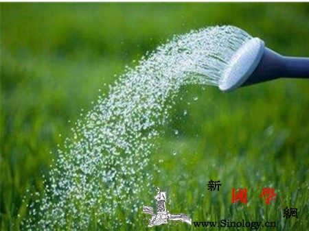 孕妇梦见浇地是什么意思_浇地-会有-浇水-预示-