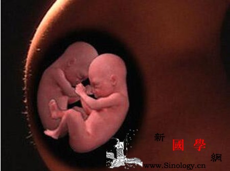 孕妇梦见怀双胞胎是什么意思_吉兆-双胞胎-预示-孕妇-
