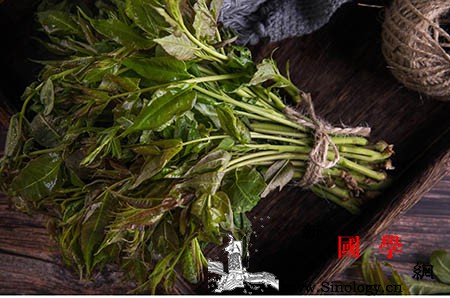 孕期想吃零食？这4种食物将是不二之选！_泡面-孕期-酸奶-孕妇-