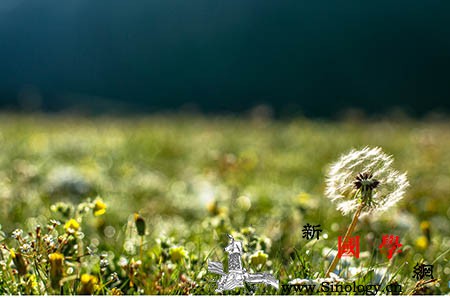 成功受孕的瞬间会有感受吗？_会有-受精卵-着床-受孕-