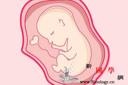 孕妇肚子上的黑线有什么用处？_黑线-肚脐-妊娠-怀孕后-