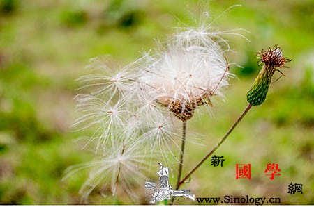 孕妇几个月做四维彩超_什么时候-胎儿-畸形-四维-